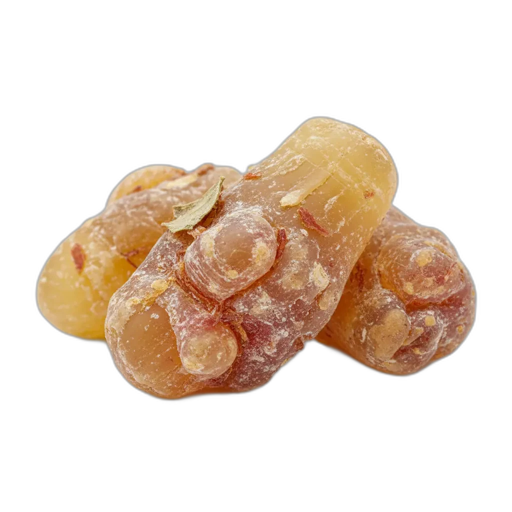 Boswellia serrata — známá pro své zklidňující vlastnosti